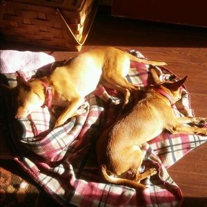 Meet your Posher, Michael